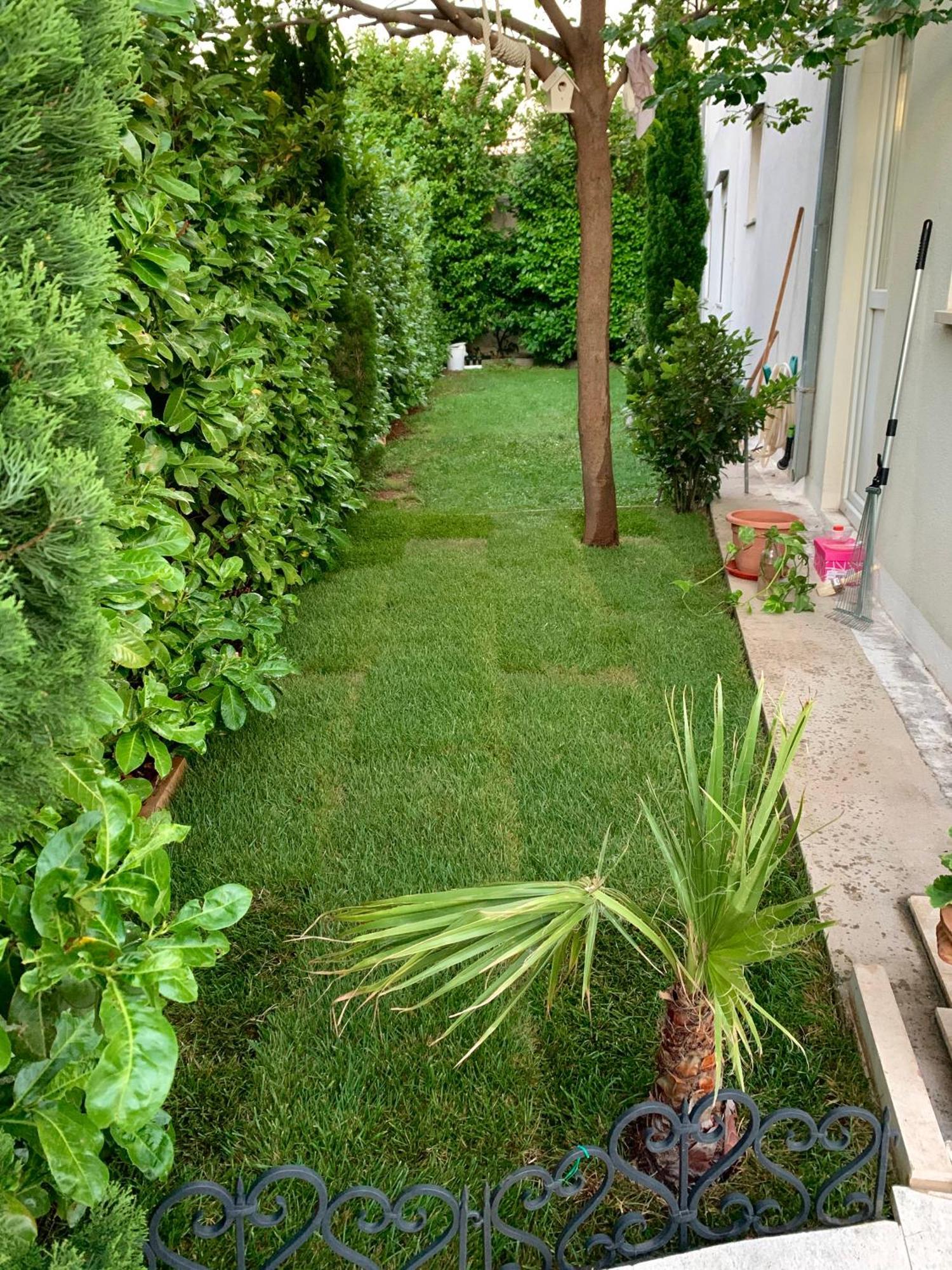 Apartman Filipovic Makarska Exterior photo